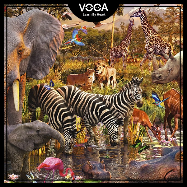 ENDANGERED SPECIES (Skills 1)